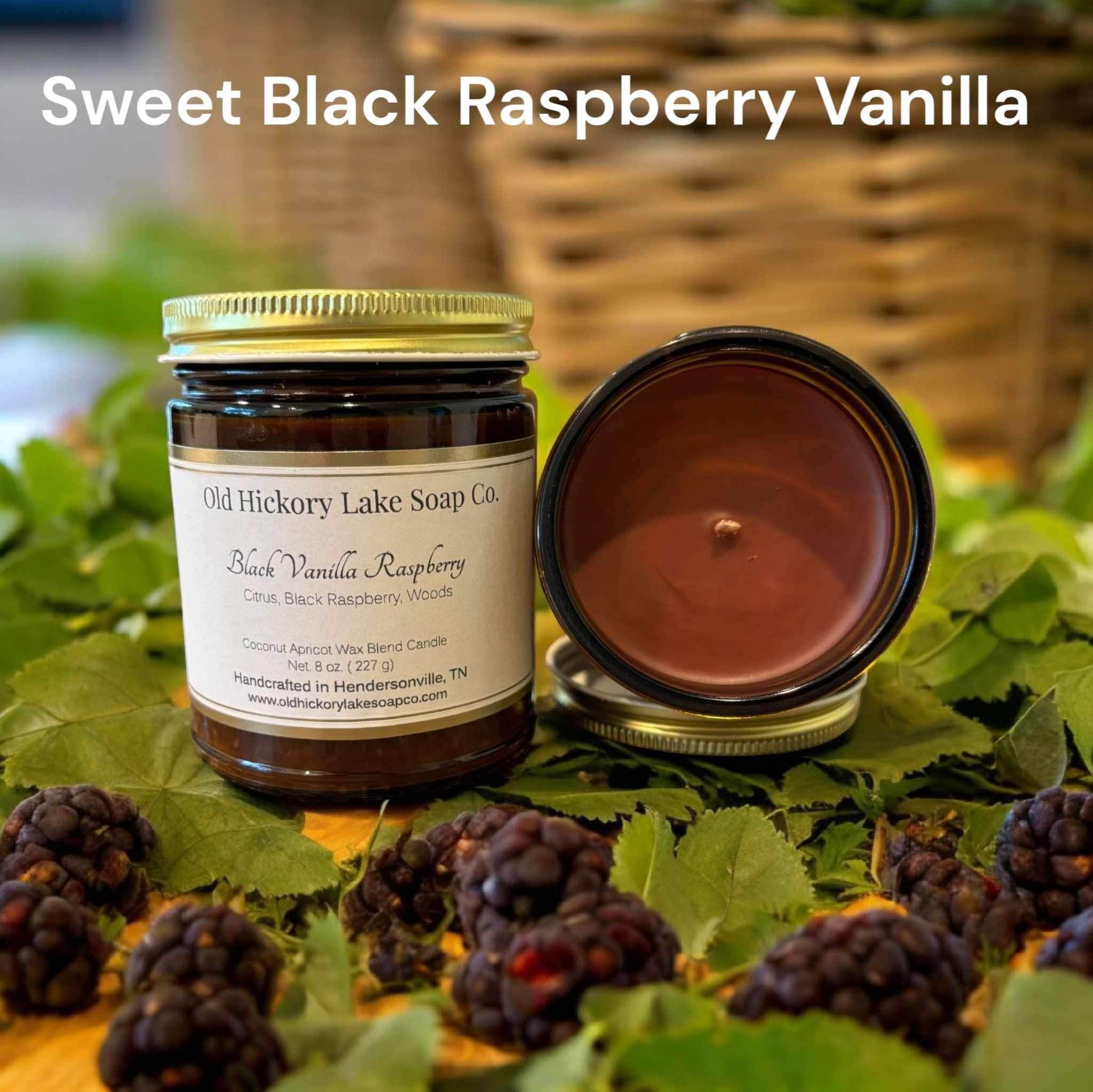 Black Raspberry & Vanilla Candle - Old Hickory Lake Soap Co.