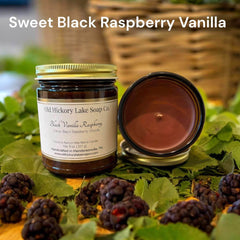 Black Raspberry & Vanilla Candle - Old Hickory Lake Soap Co.