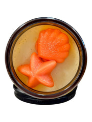 Tropical Starburst Wickless Candle