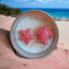 Pink Pebbles Beach Wickless Candle - Old Hickory Lake Soap Co.