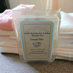 Gainfully Bliss Laundry Day Wax Melts - Old Hickory Lake Soap Co.